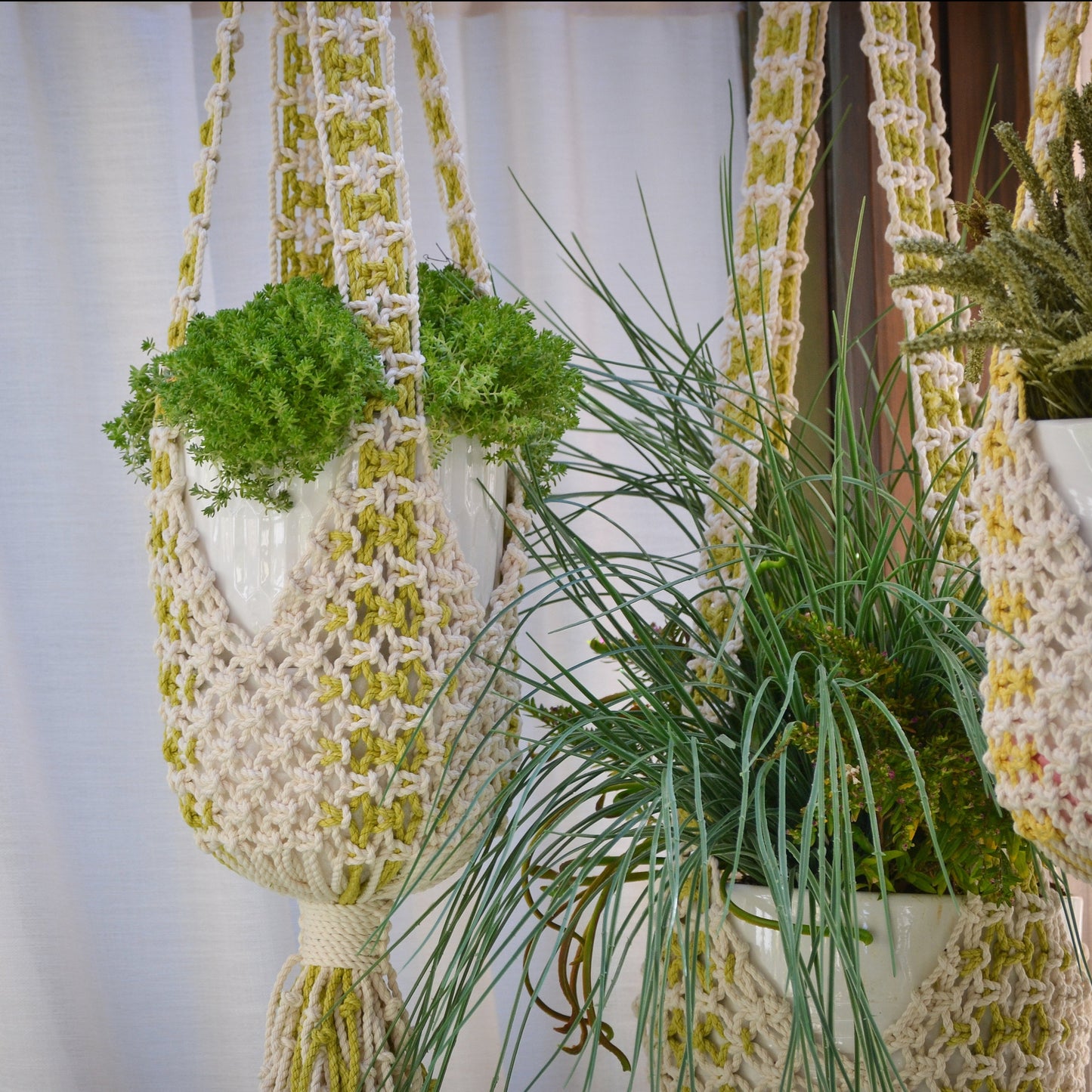 Macramé Plant Hangers