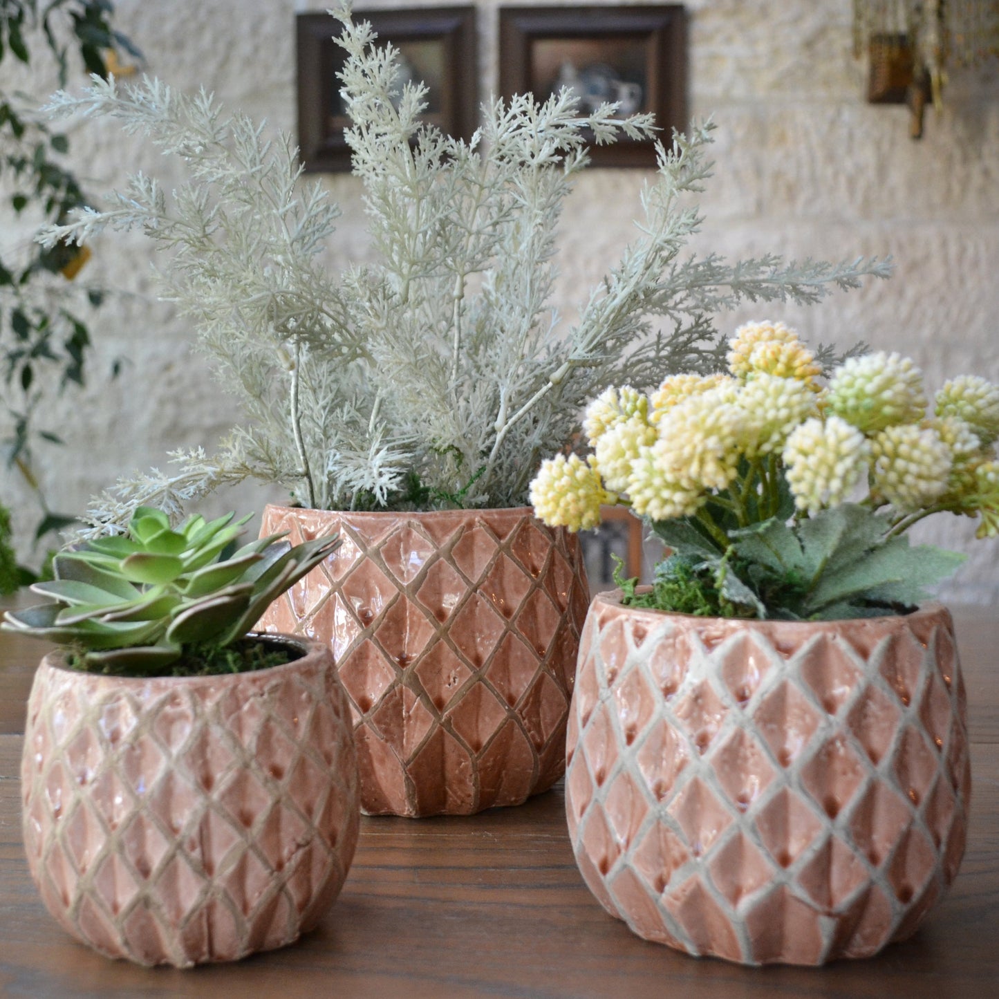 Pink Planters - 3 Sizes