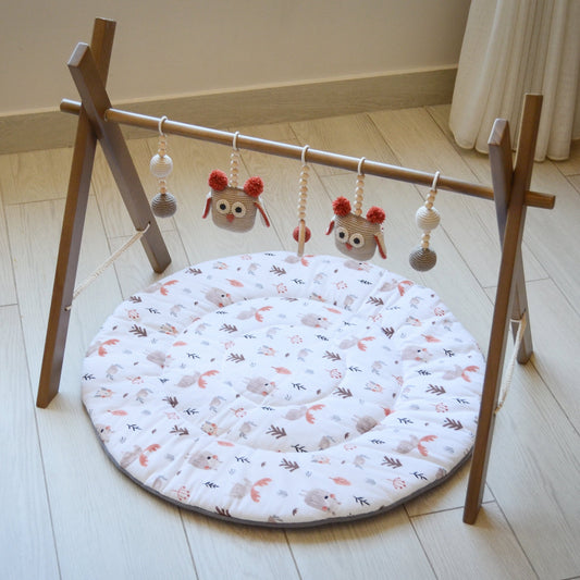Owl Activity Gym